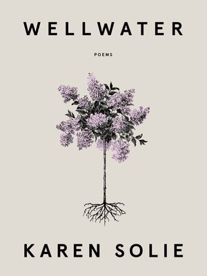 Wellwater - ebook